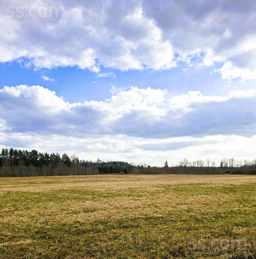 Brīnumpļava, Jugla, Ogre un raj., Suntažu pag. — zeme