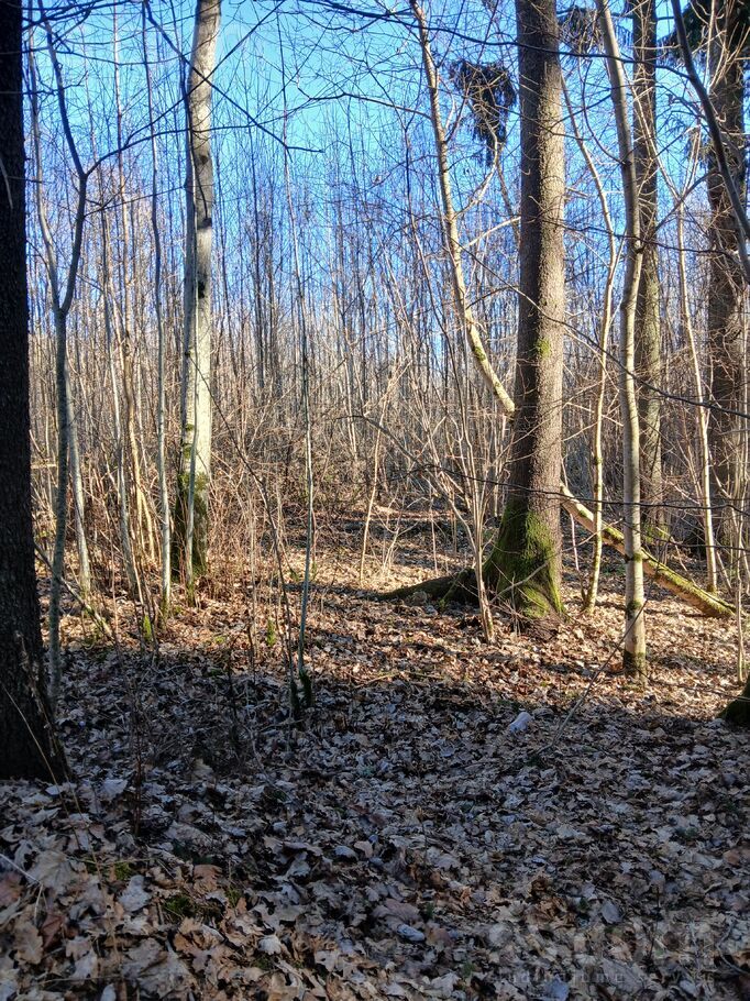 Stūri, Saldus un raj., Blīdenes pag. — mezs