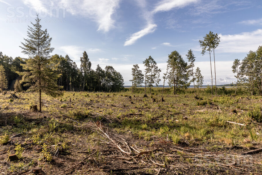 “Buras”, Ventspils un raj., Usmas pag. — zeme