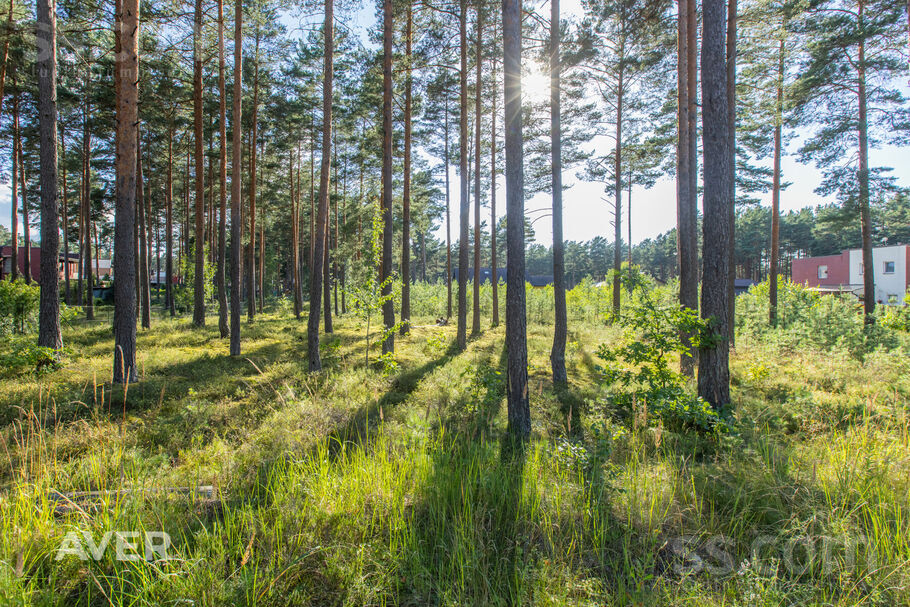 Burvju iela 1, Ādaži, Rīgas rajons, Ādažu nov. — zeme