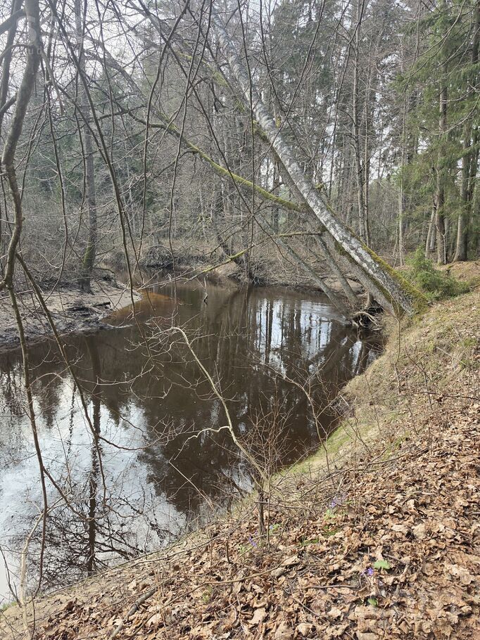 Lades 8, Dzērumi, Rīgas rajons, Ķekavas pag. — maja