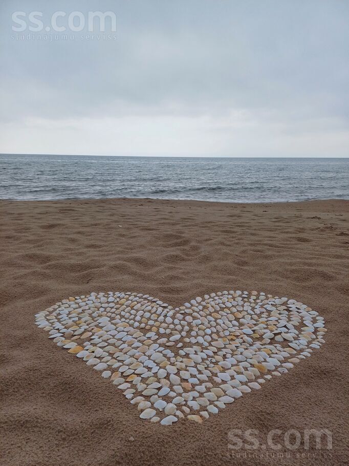 Birzgaļi, Sārnate, Ventspils un raj., Užavas pag. — zeme