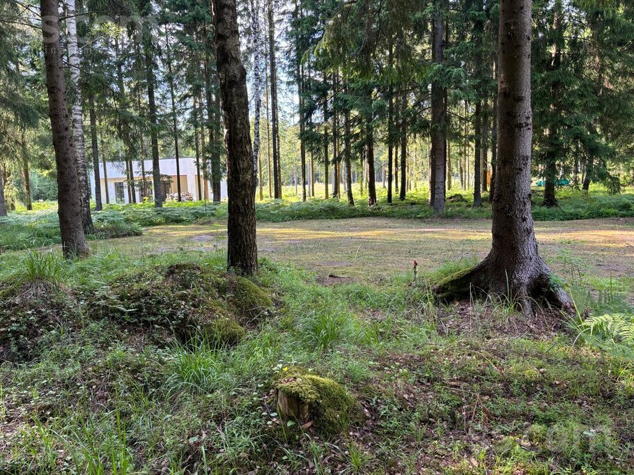 Muižas iela 11, Rīgas rajons, Saulkrasti — zeme