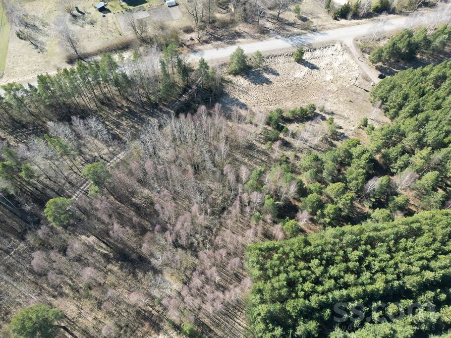 Sauleslejas, Jelgava un raj., Sidrabenes pag. — zeme