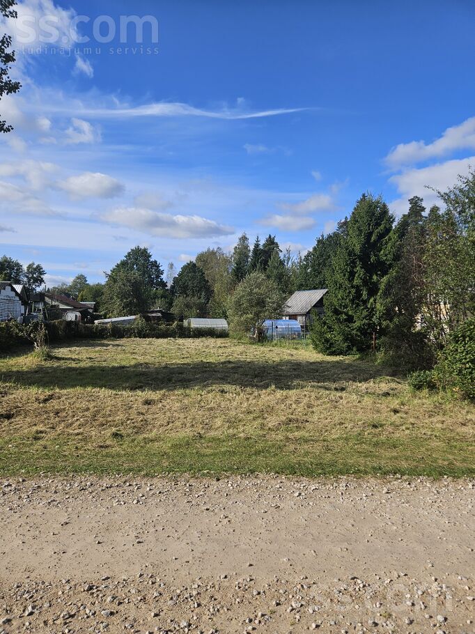 D/s Lazdas 2565, Jāņupe, Rīgas rajons, Olaines pag. — zeme