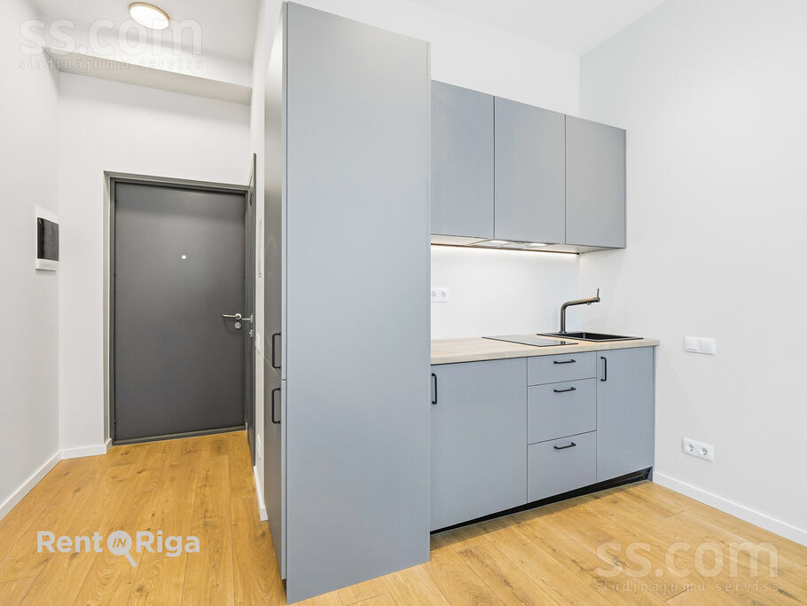 Birznieka-Upīša 20a, Rīga — dzivoklis