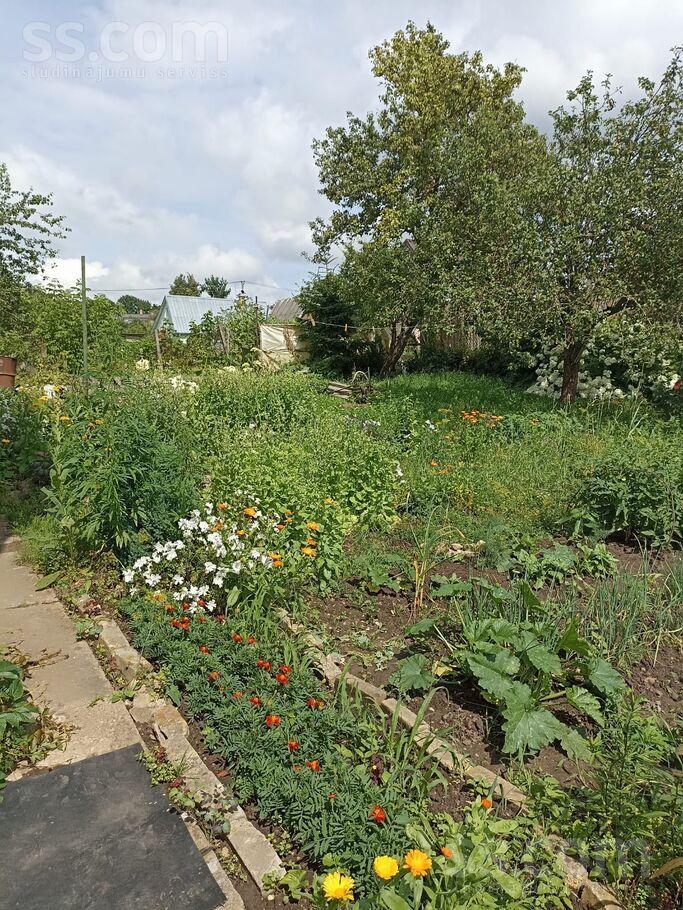 Rožlejas 103, Rēzekne un raj., Rēzekne — maja