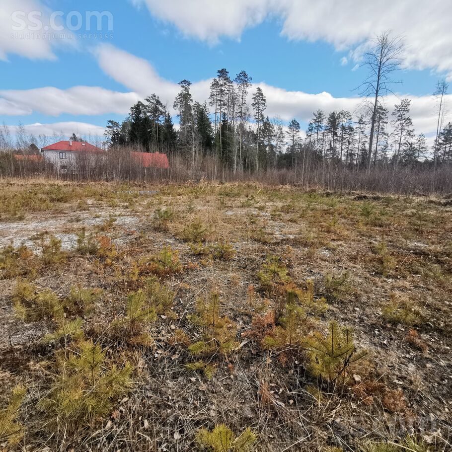 Jaunbeltes 7, Meža miers, Rīgas rajons, Inčukalna nov. — zeme
