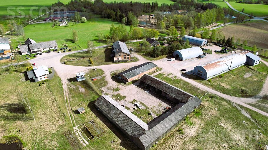 Dāboliņi b/n, Cēsis un raj., Raunas pag. — telpa