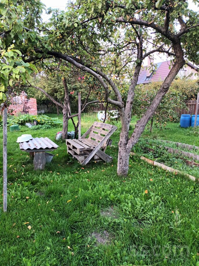 31 6, Šķēde, Liepāja un raj., Medzes pag. — maja