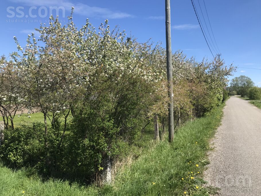 Līgo iela 31, Koknese, Aizkraukle un raj., Kokneses pag. — zeme