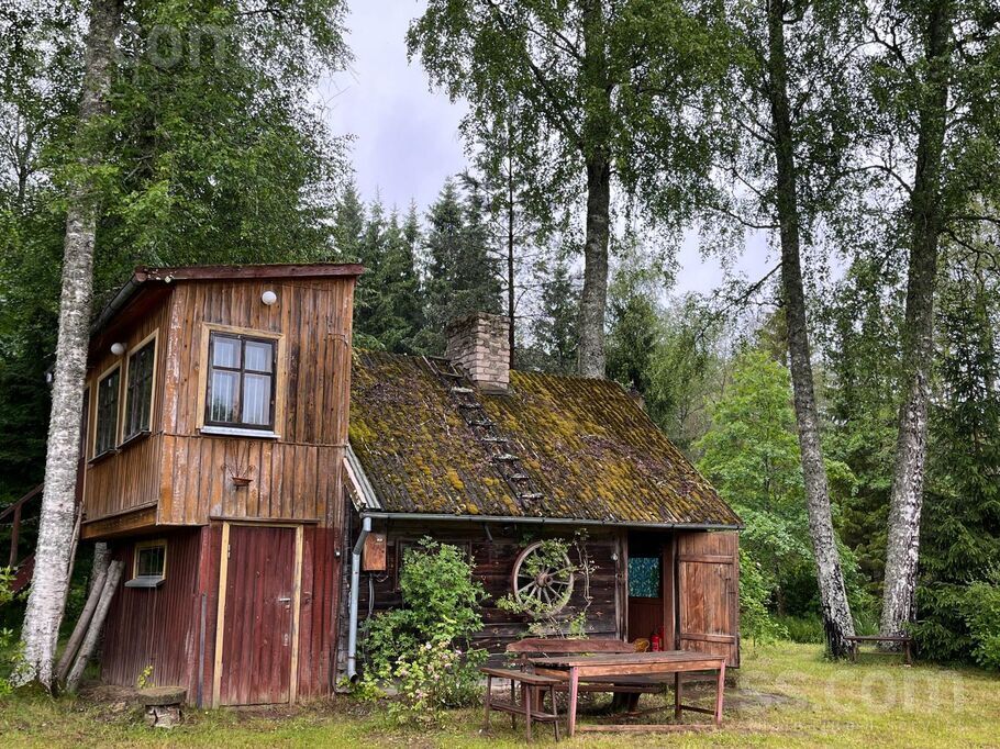 Saulgrieži, Klārmuiža, Talsi un raj., Dundagas pag. — maja