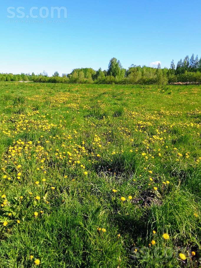 Mazkipisi, Ciemupe, Ogre un raj., Ogresgala pag. — zeme