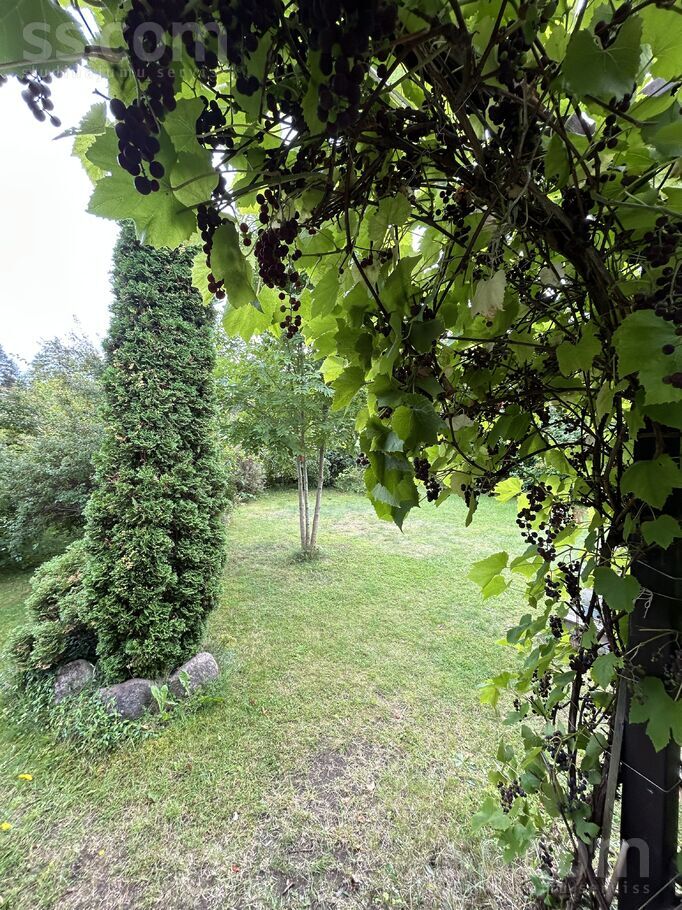 Medni 53, Jāņupe, Rīgas rajons, Olaines pag. — maja