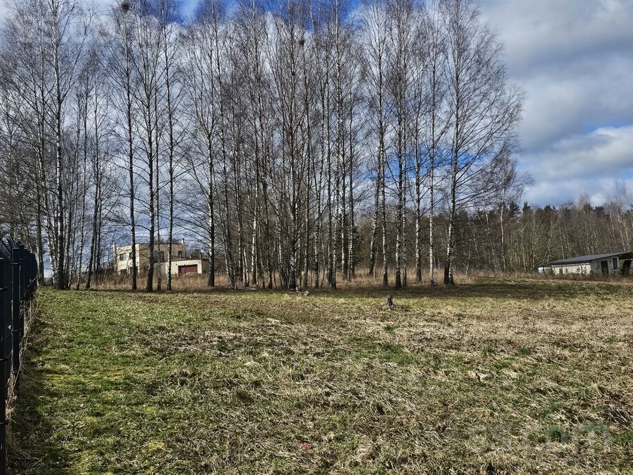 Vecvīņaudi 7, Cēsis un raj., Cēsis — zeme