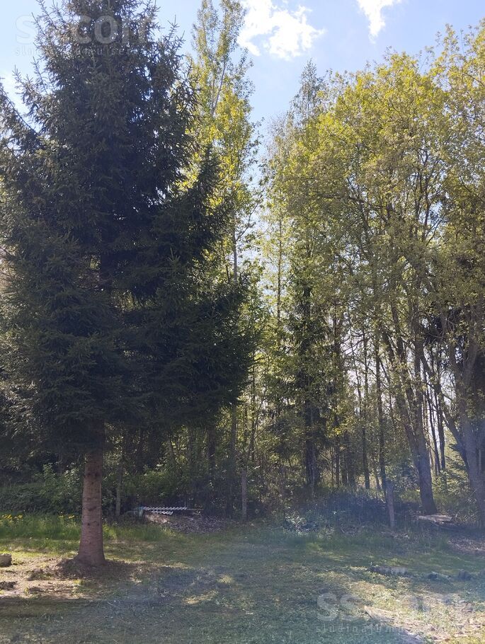 Bērziņi, Daugavpils un raj., Šēderes pag. — maja