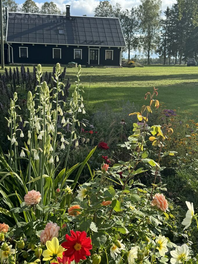 Rauza, Valka un raj., Palsmanes pag. — vienseta