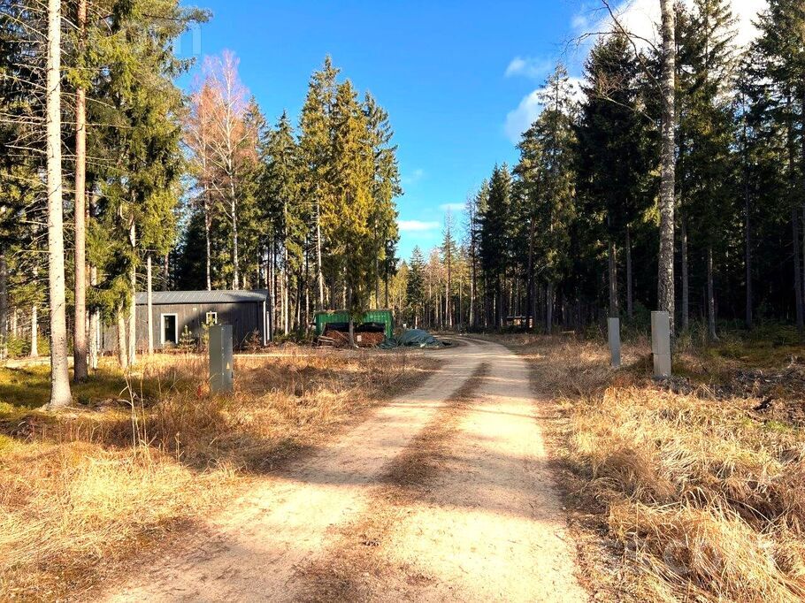 Bērzu iela 14, Rīgas rajons, Saulkrasti — zeme