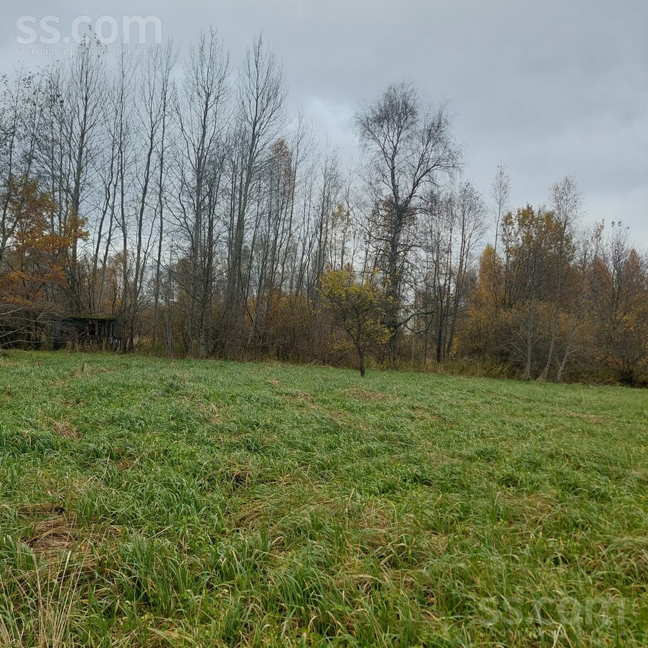 Rogu ceļš 11.o, Jelgava un raj., Jelgava — zeme