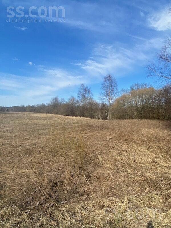 Ventasdziedi 1, Venta, Kuldīga un raj., Rumbas pag. — zeme