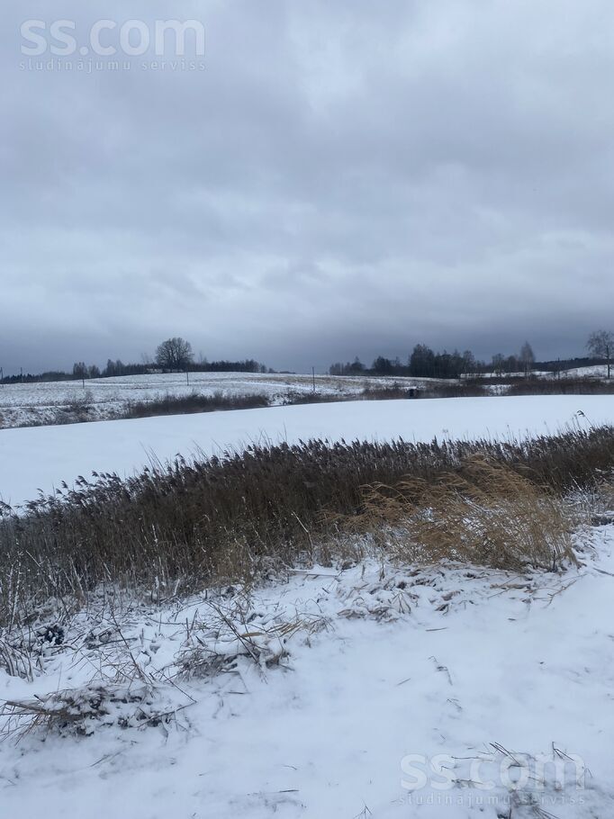 Biķernieki 1, Biķernieki, Daugavpils un raj., Biķernieku pag. — zeme