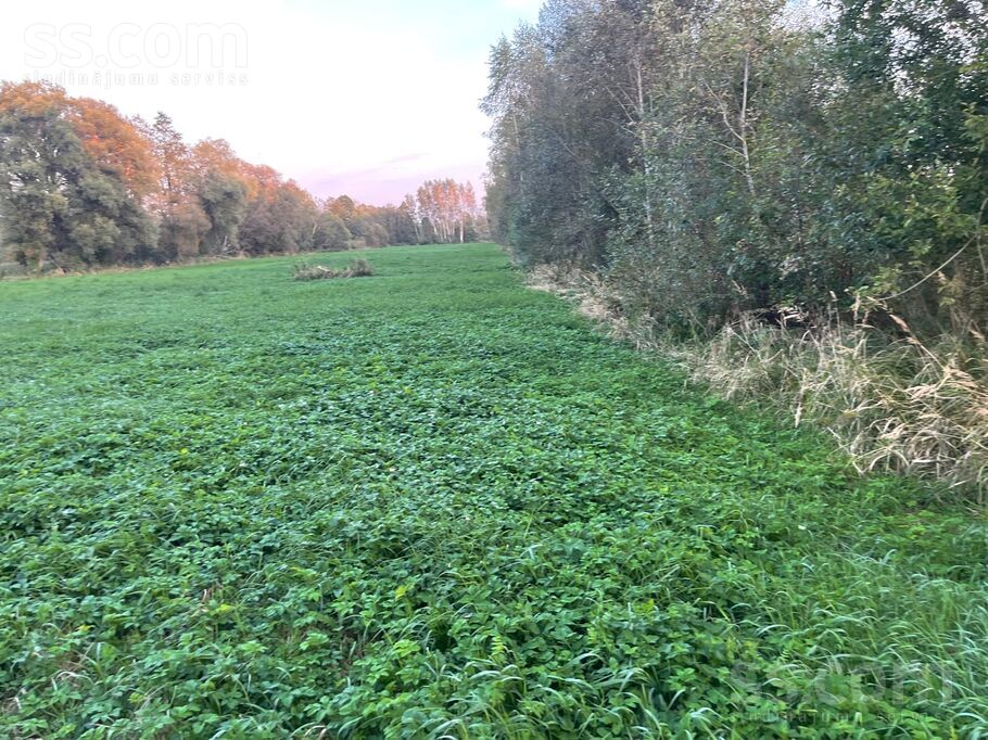 Jeņči, Rīgas rajons, Ķekavas pag. — zeme