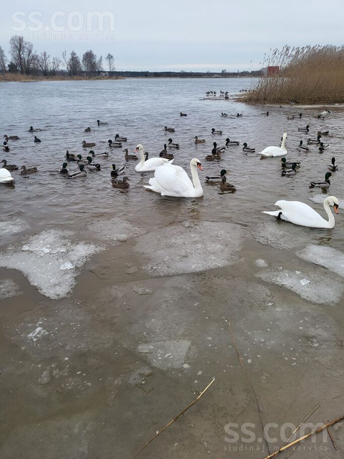 Lēpju 5, Rīga — dzivoklis