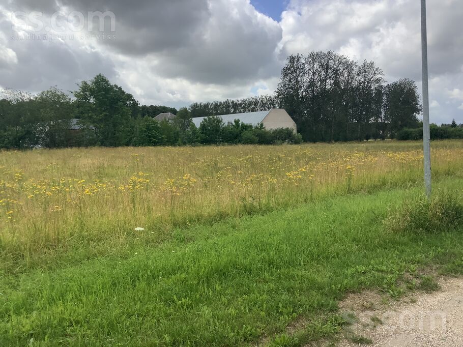 Lavandas, Zūras, Ventspils un raj., Vārves pag. — zeme