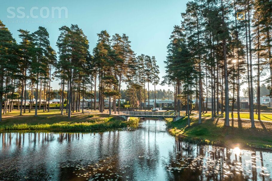 Parka Aleja, Dzilnuciems, Rīgas rajons, Babītes pag. — maja