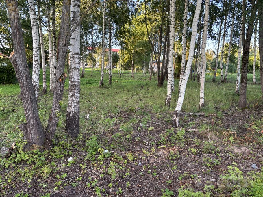Dienvidu iela 12, Rīgas rajons, Salaspils — zeme