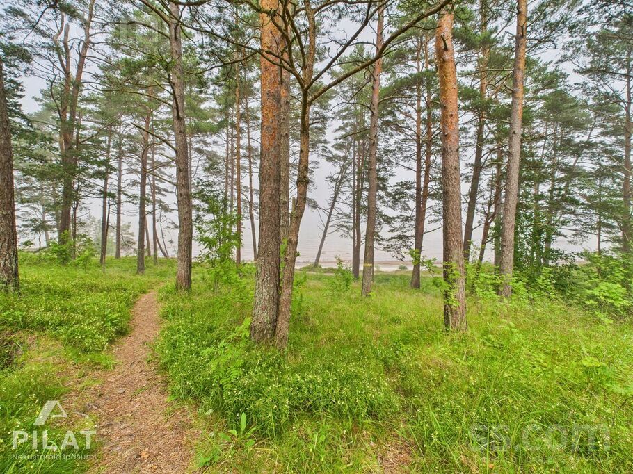 Roja, Roja, Talsi un raj., Rojas pag. — maja