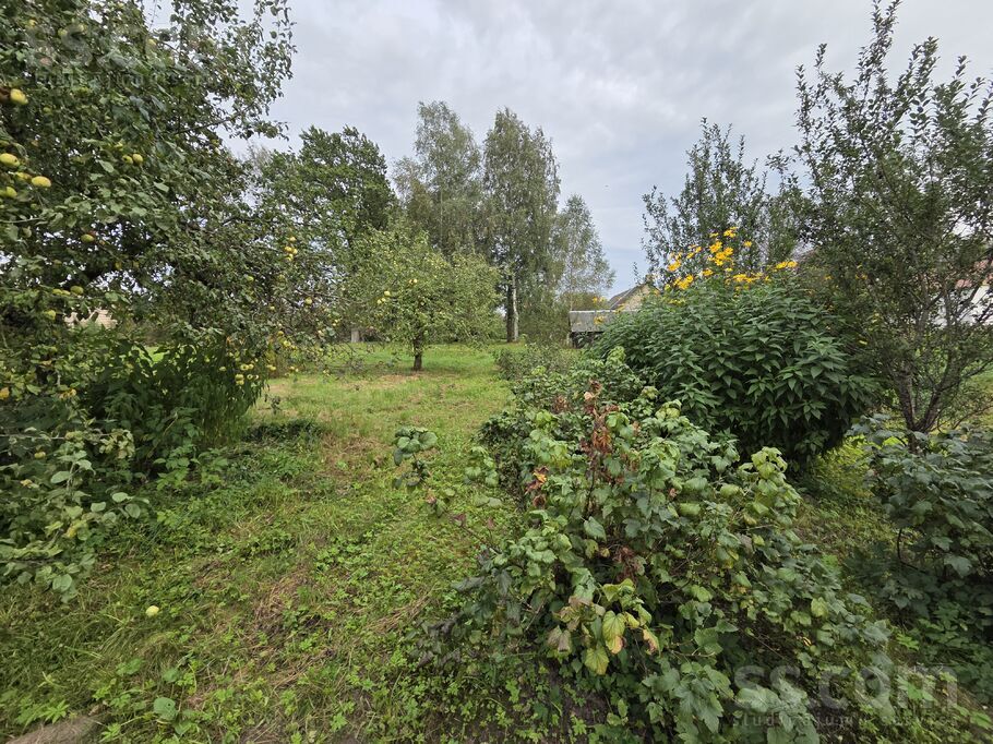 Skolas iela 9, Šķeltova, Krāslava un raj., Šķeltovas pag. — maja