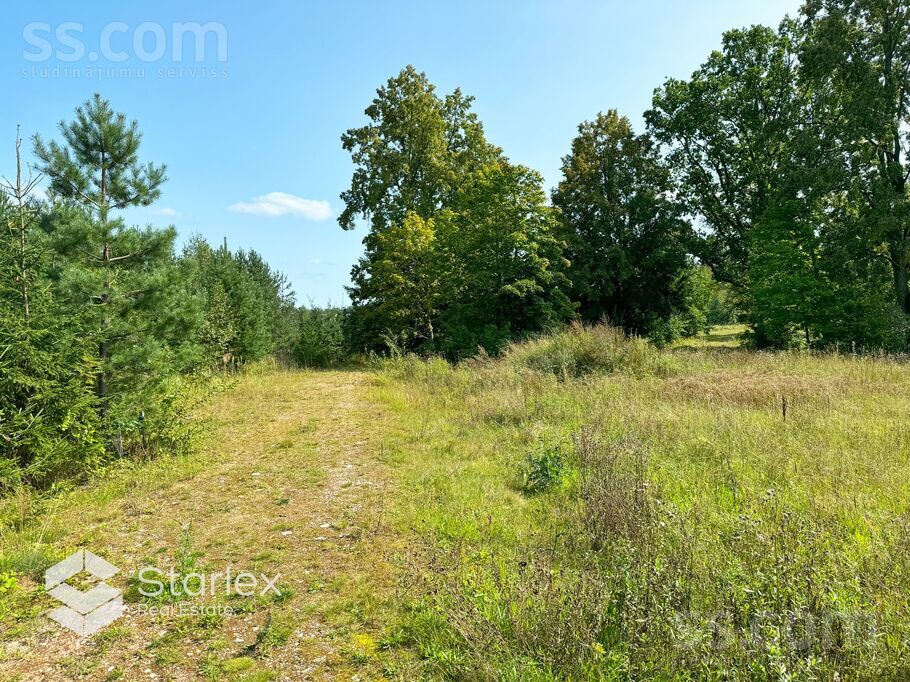 Dilles, Amata, Cēsis un raj., Drabešu pag. — zeme