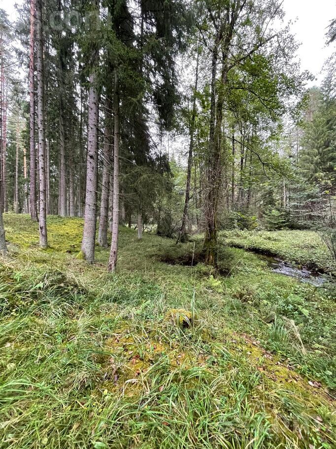 Vārpas iela 10, Ogre un raj., Ogre — zeme