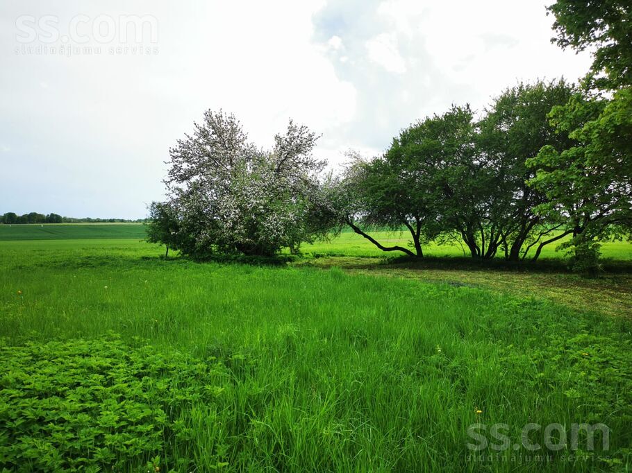 Code, Bauska un raj., Codes pag. — vienseta