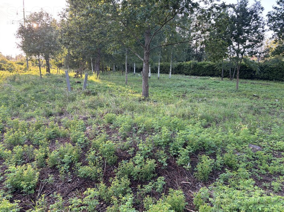 Dienvidu iela 12, Rīgas rajons, Salaspils — zeme
