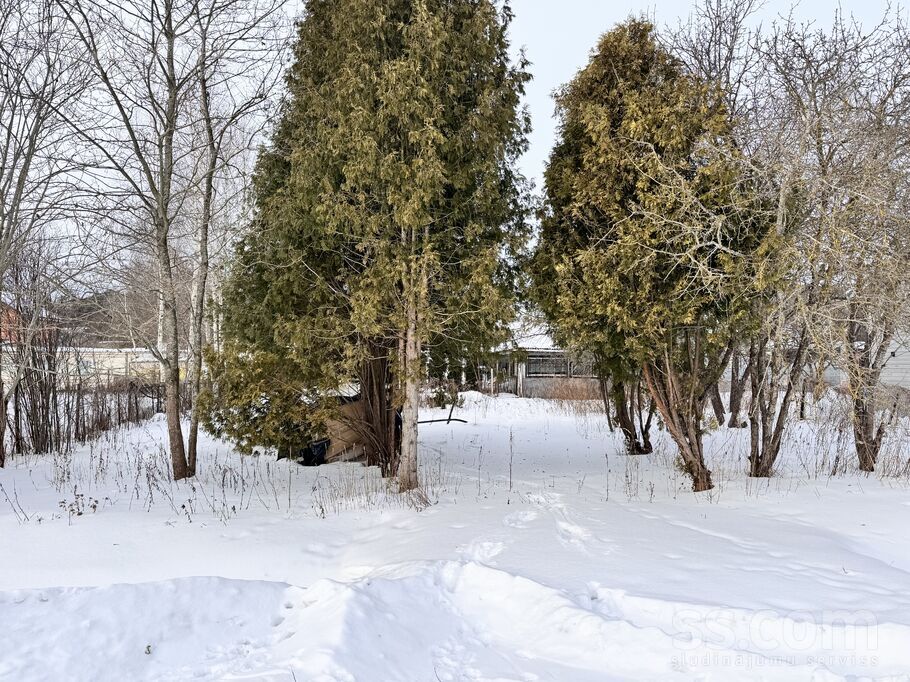 Saulaines iela 55, Medemciems, Rīgas rajons, Olaines pag. — zeme