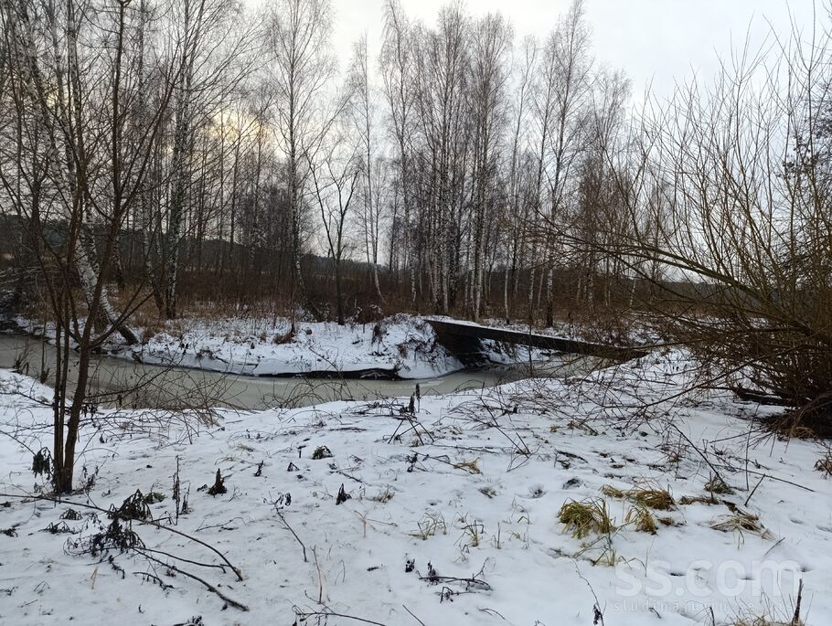 Sienāžu 1, Jūrmala — zeme