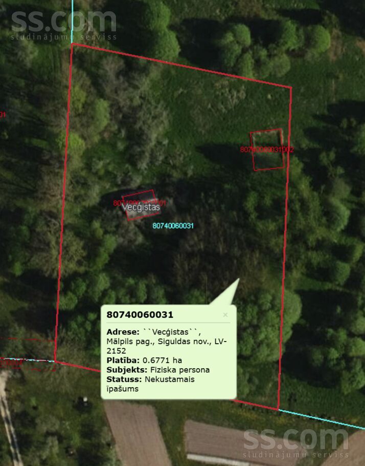 Vite, Rīgas rajons, Mālpils pag. — vienseta