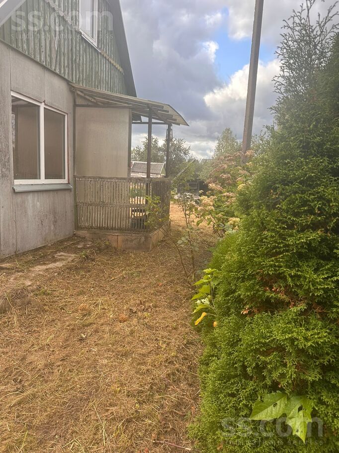 Dzintārs dārzs, Rēzekne un raj., Rēzekne — maja