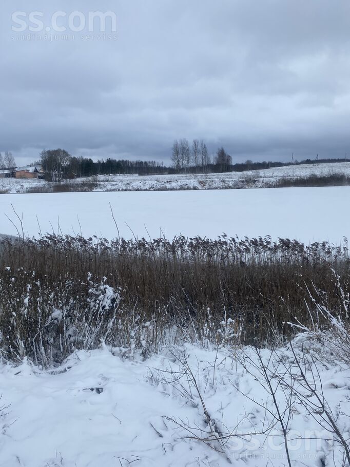 Biķernieki 1, Biķernieki, Daugavpils un raj., Biķernieku pag. — zeme