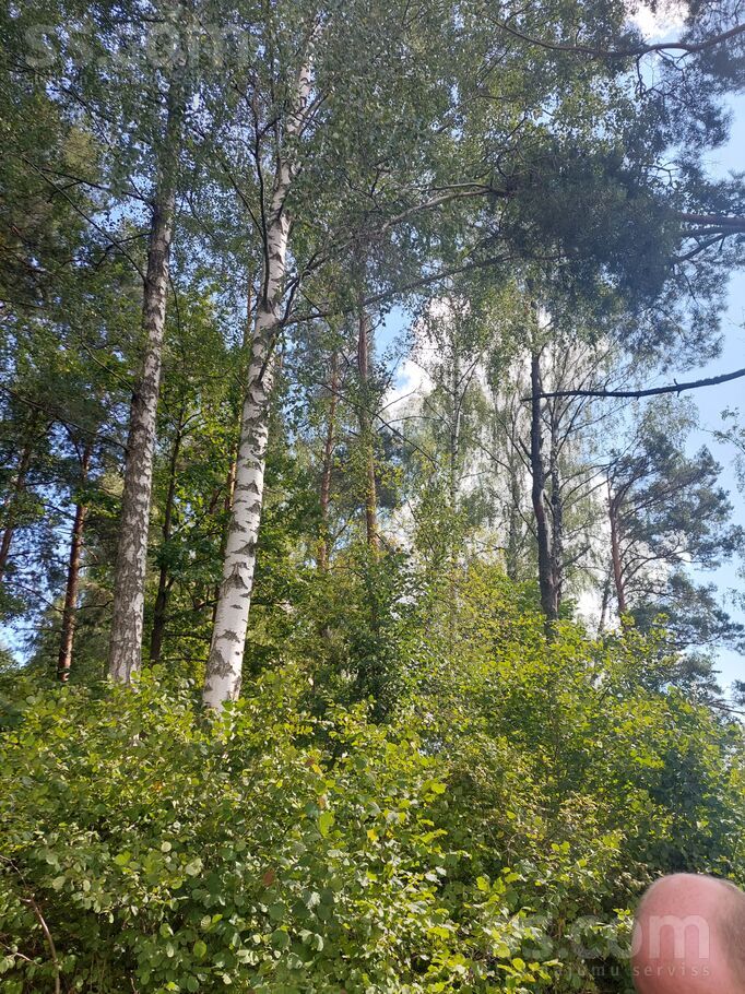 B/n, Medumi, Daugavpils un raj., Medumu pag. — zeme