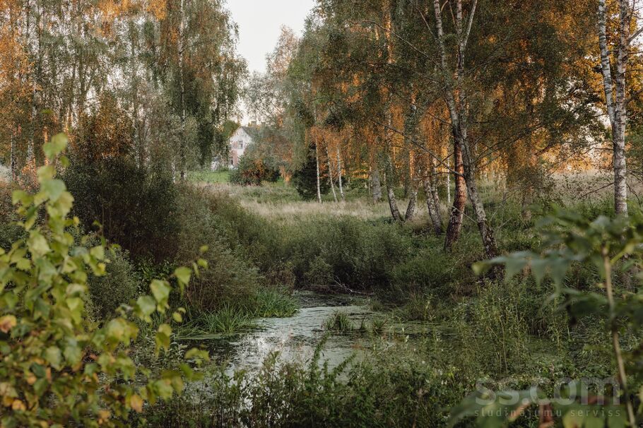 Drabeši, Cēsis un raj., Drabešu pag. — vienseta