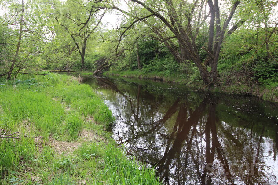 Atpūta Griškāni 59, Dreizi, Rēzekne un raj., Griškānu pag. — maja