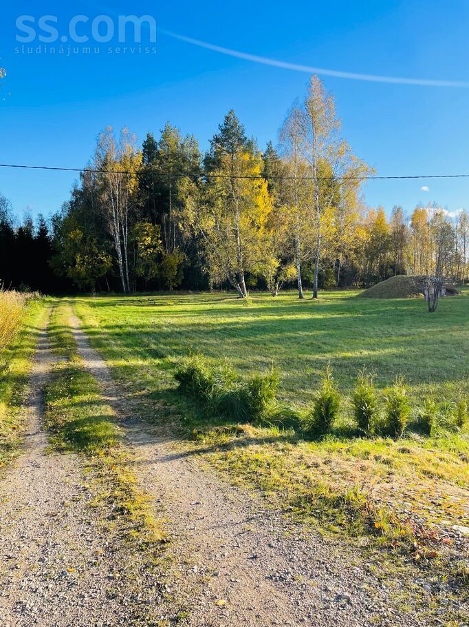 Eglītes, Pēternieki, Rīgas rajons, Olaines pag. — zeme