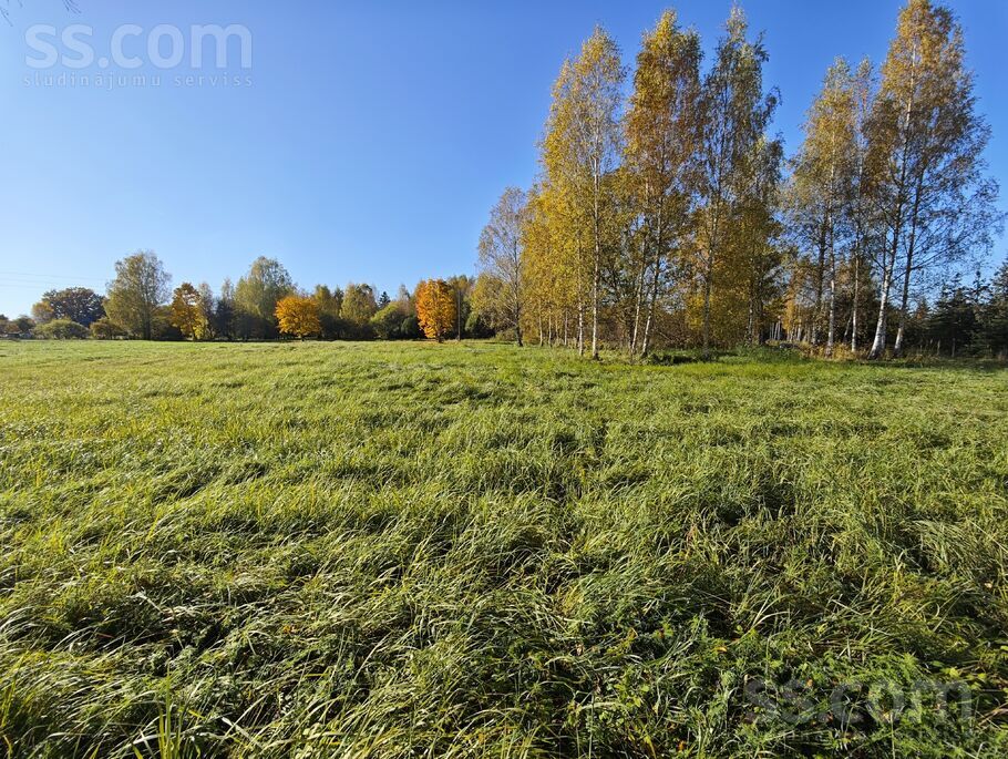 Pētera iela 36, Cēsis un raj., Cēsis — zeme