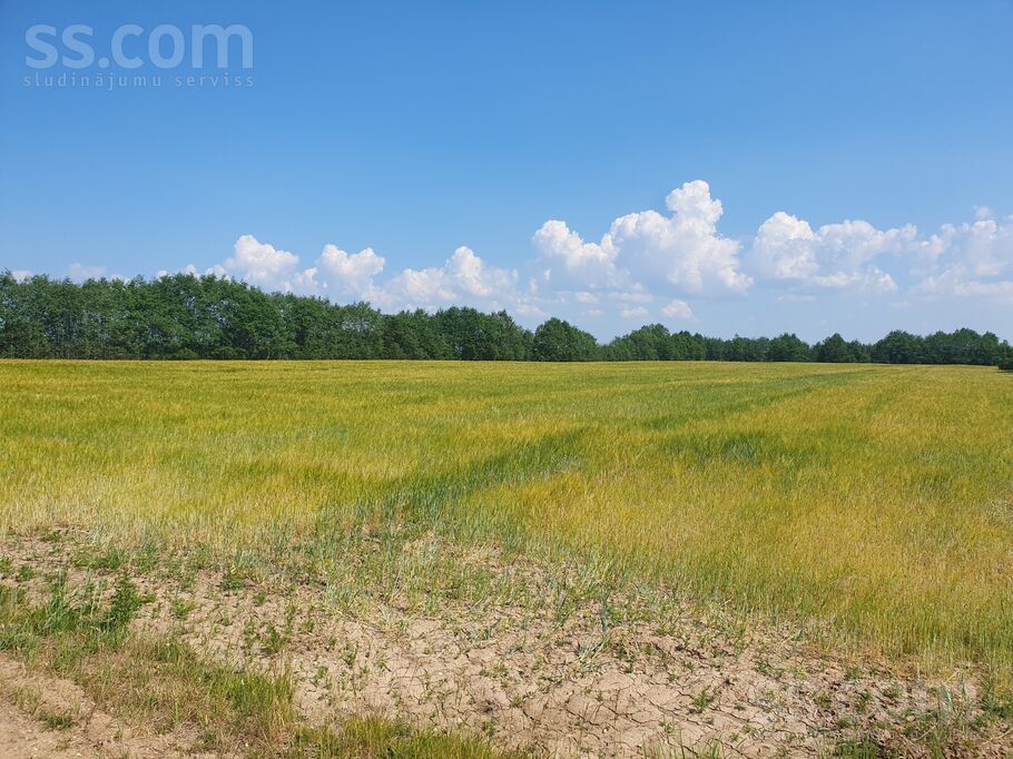 Ganību iela 23, Limbaži un raj., Salacgrīva — zeme