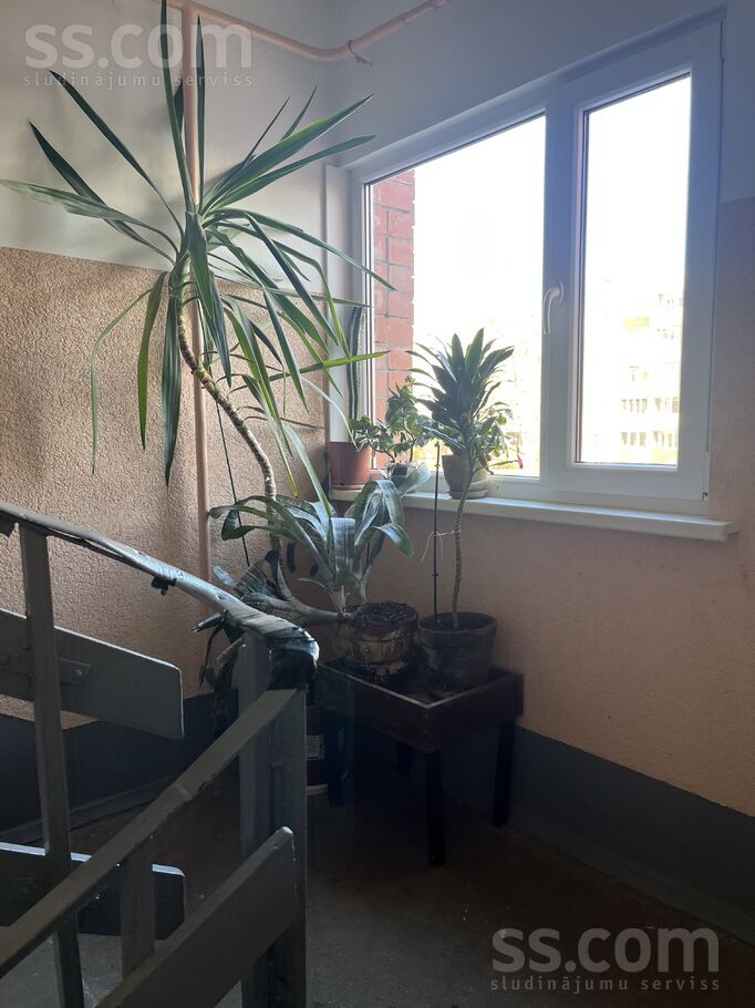 Raiņa 85, Jūrmala — dzivoklis