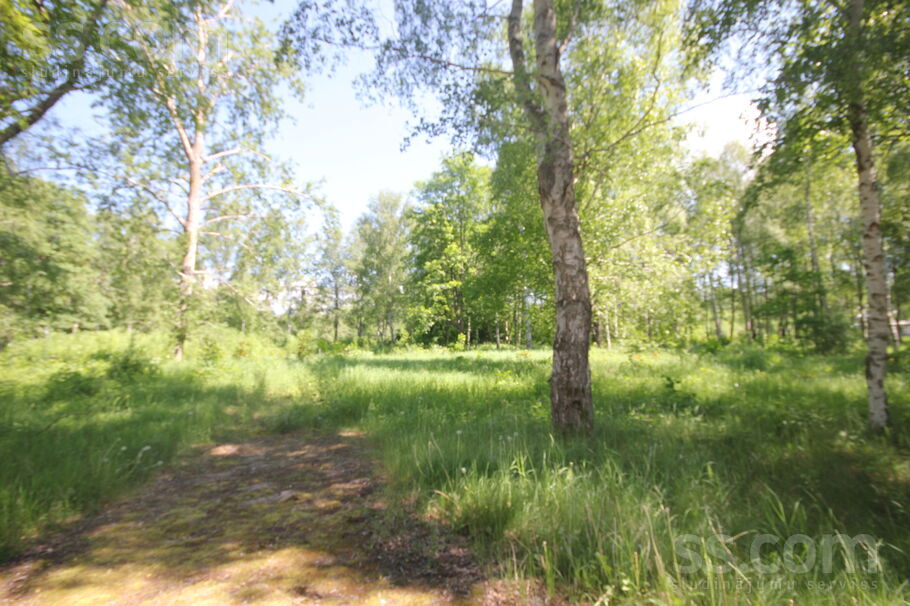 Apšu 5, Cimdenieki, Liepāja un raj., Grobiņas pag. — zeme