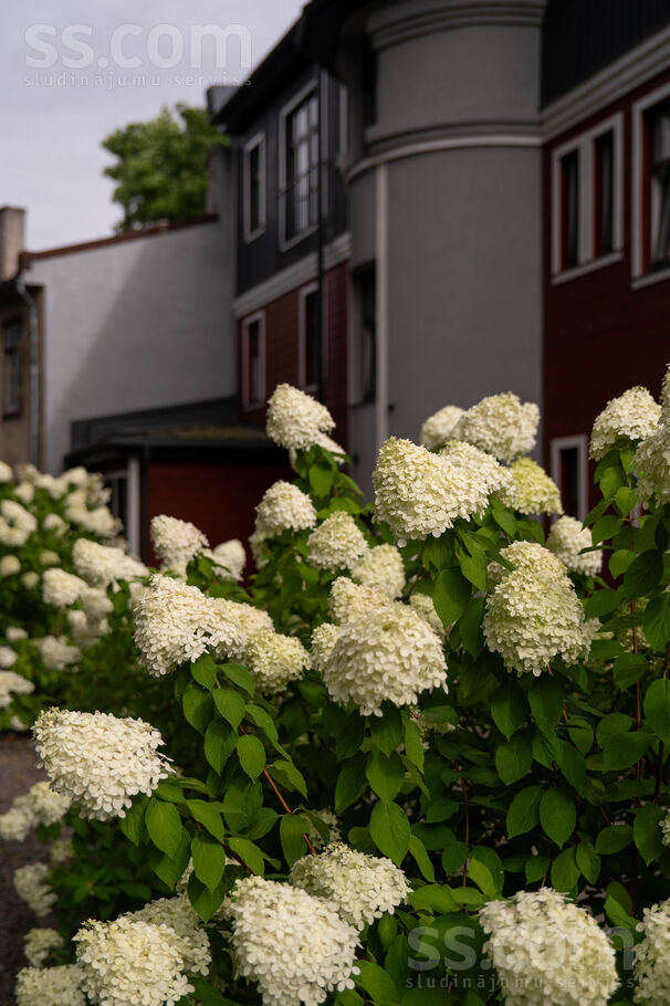 Amālijas 5a, Rīga — dzivoklis